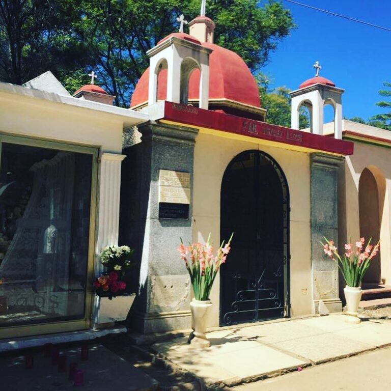 🌼 Marigolds and Memory 🦋 Marigolds guide spirits home. On my birthday, I place them for every soul that taught me strength. Their scent carries love across lifetimes. #MarigoldMagic #Remembrance