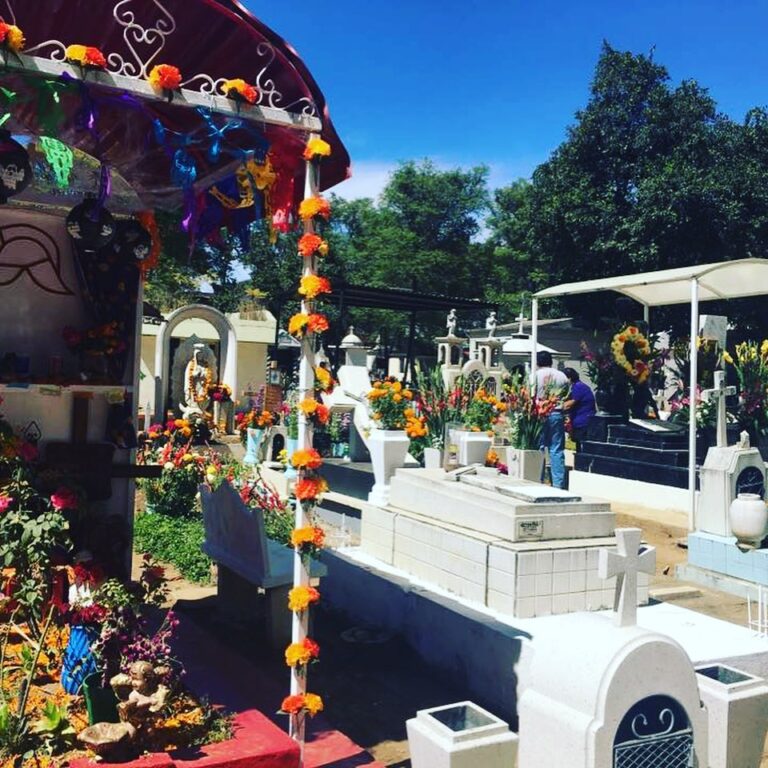 🕯️ My Birthday Is an Altar 🌹 While others blow out candles, I light them. I celebrate my life and those who made mine possible. Gratitude is my gift back to them. #BirthdayVibes #DayOfTheDead