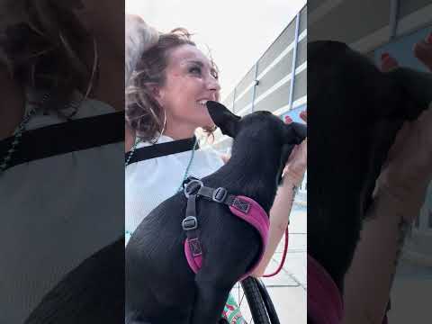 My Adaptive Art Booth Drew The Largest Crowd At Expo 🖼️