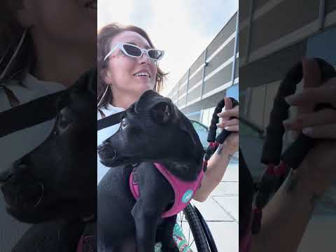 Adaptive Artist Creates Live In Front Of Crowd At Expo 🖌️ #DisabilityAwareness