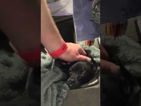 Bold Colors And Bigger Dreams From My Booth At Abilities Expo 🎨 #AbilitiesExpo