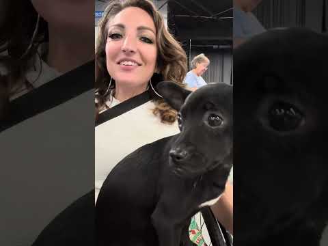 Sharing My Story Through Art At The Disability Expo 🎭 #MobilityMatters