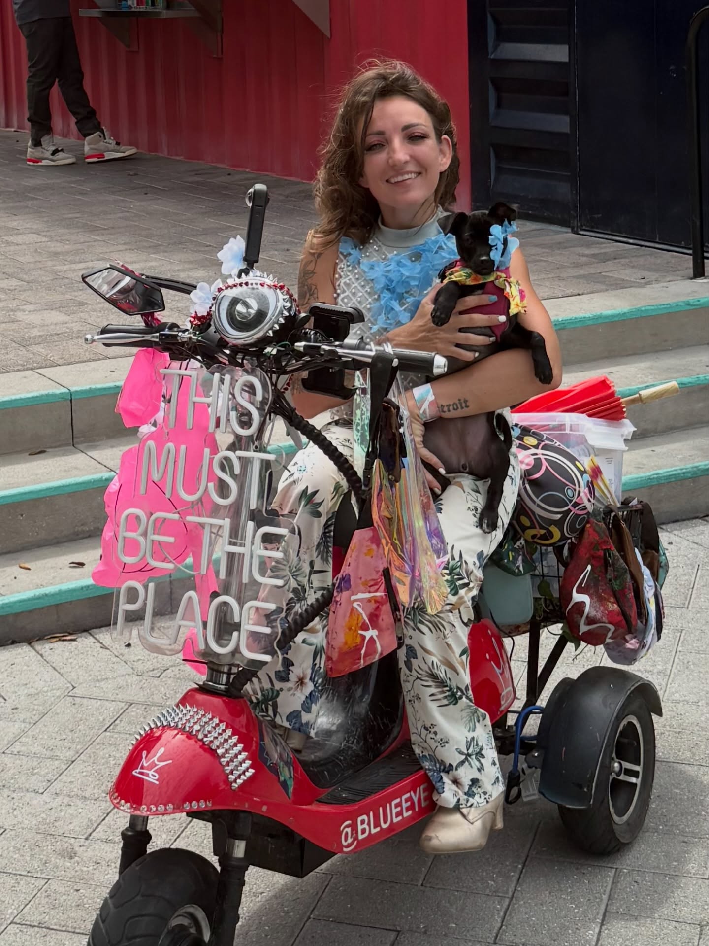 melissa divietri artist author