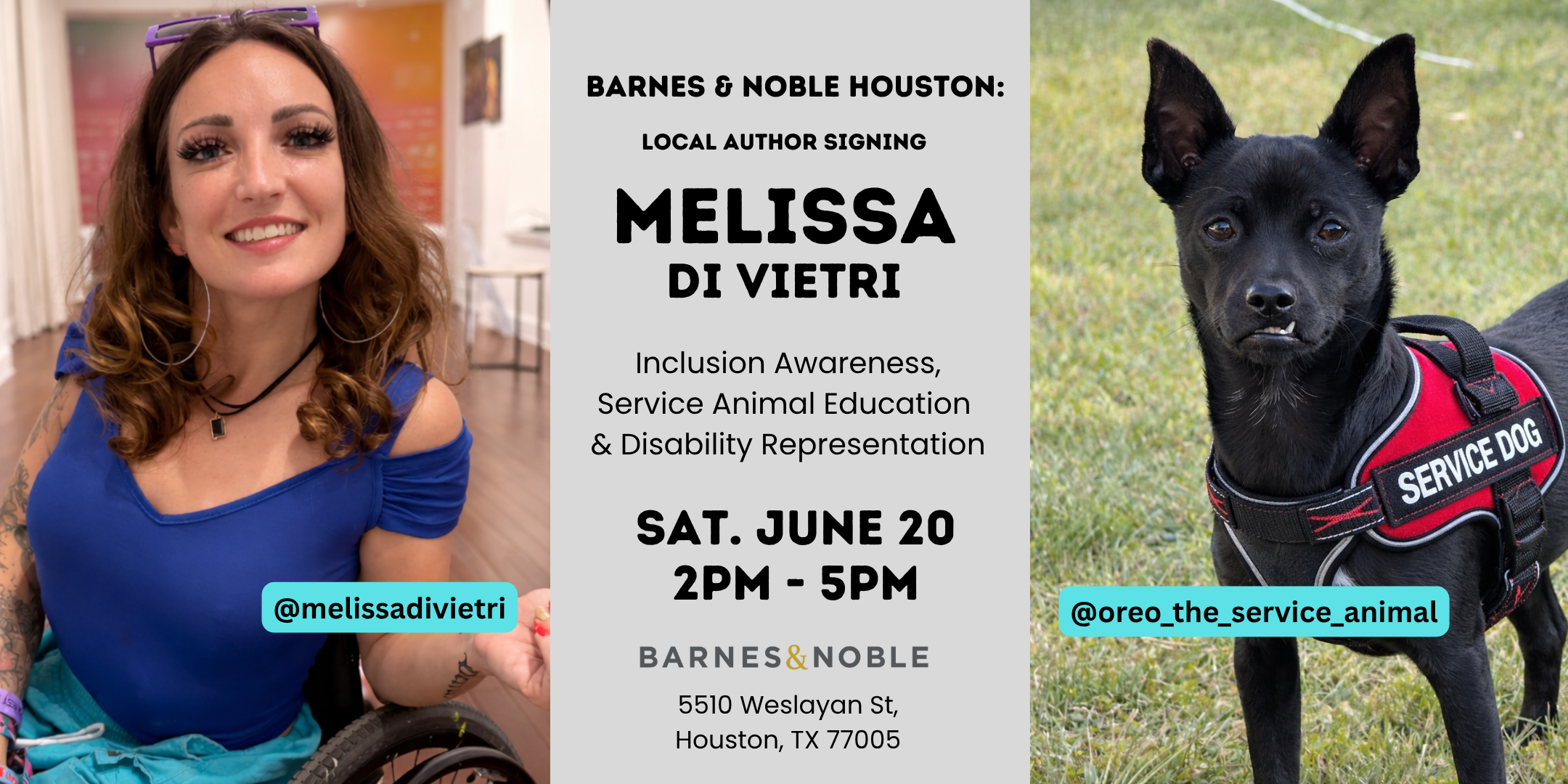 barnes and noble houston